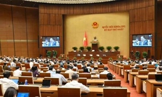 Thông cáo báo chí số 8, Kỳ họp thứ nhất, Quốc hội khóa XVI